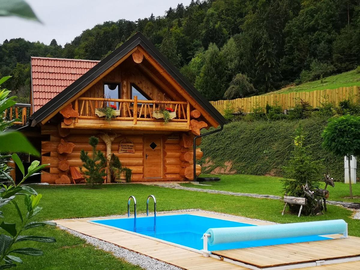 Forest Glade Cottage - Koca Na Jasi Recica ob Savinji المظهر الخارجي الصورة